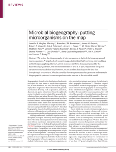 Microbial biogeography: putting microorganisms on the map