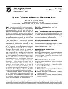 How to Cultivate Indigenous Microorganisms