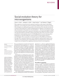 Social evolution theory for microbes