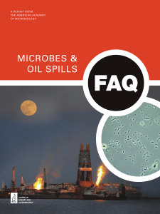 MICROBES & OIL SPILLS