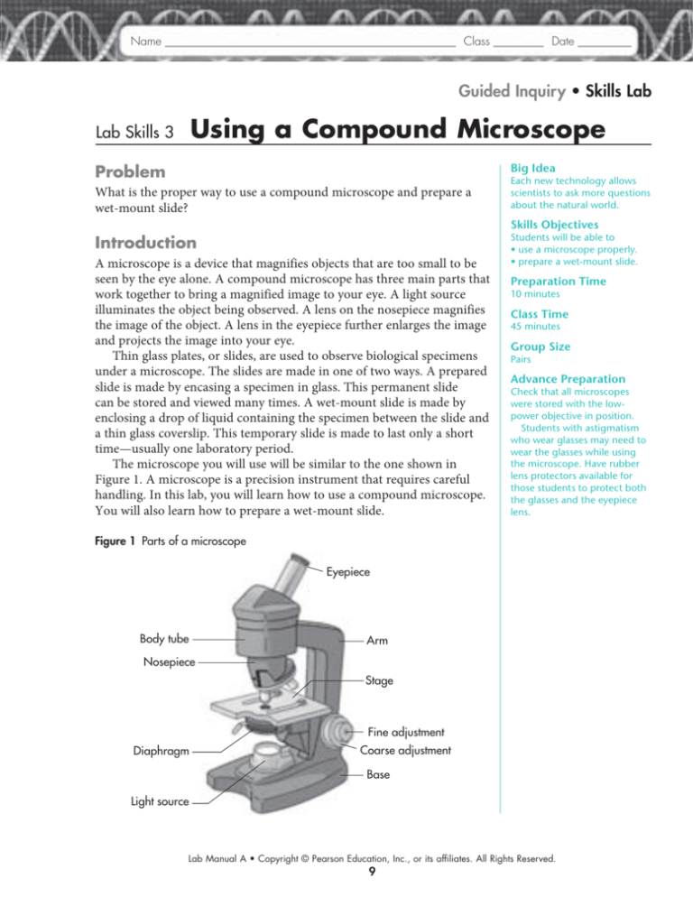 Lab Skills 5 Using A Compound Light Microscope Answers ...