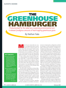 The Greenhouse Hamburger - Academic Program Pages at Evergreen