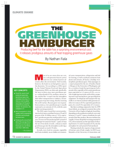 greenhouse hamburger