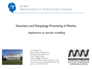 Geometry and Tolopology Processing of Meshes