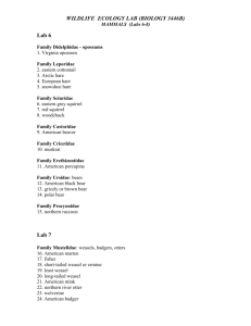 WILDLIFE ECOLOGY LAB (BIOLOGY 3446B) Lab 6 Lab 7