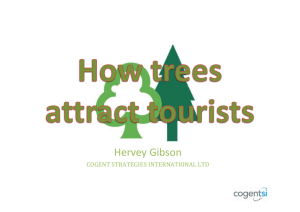How trees attract tourists