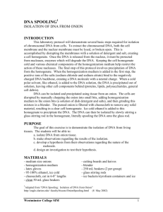 DNA Spooling - Westminster College