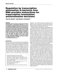 Regulation by transcription attenuation in bacteria