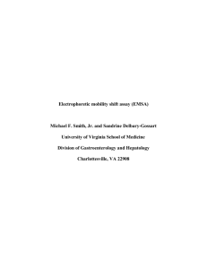 Electrophoretic mobility shift assay (EMSA)