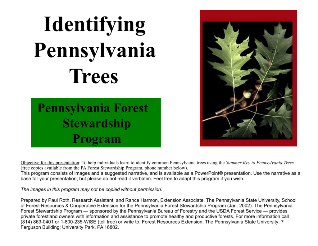 Pa Tree Identification Chart