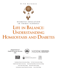 life in balance: understanding homeostasis and diabetes