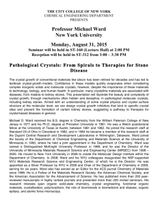 Professor Michael Ward New York University Monday, August 31