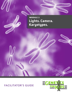 Lights. Camera. Karyotypes. - KDH Research & Communication