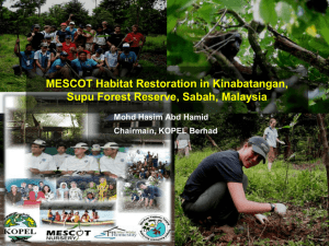 MESCOT Habitat Restoration in Kinabatangan, Supu Forest