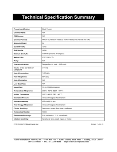 Technical Specification Summary - Owen Compliance Services, Inc.