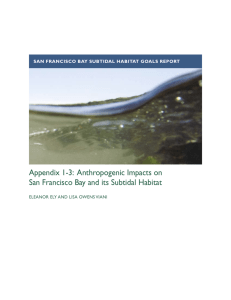 Anthropogenic Impacts on San Francisco Bay and its Subtidal Habitat