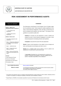 risk assessment in performance audits