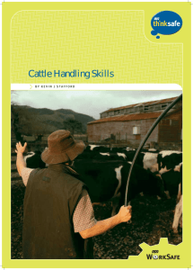 Cattle Handling Skills