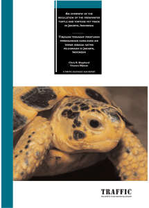 An overview of the regulation of the freshwater turtle and