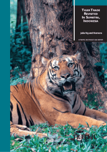 Tiger trade revisited in Sumatra, Indonesia