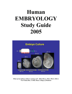 Human EMBRYOLOGY Study Guide 2005