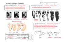 Evidence of Evolution: Comparative Anatomy & DNA Notes