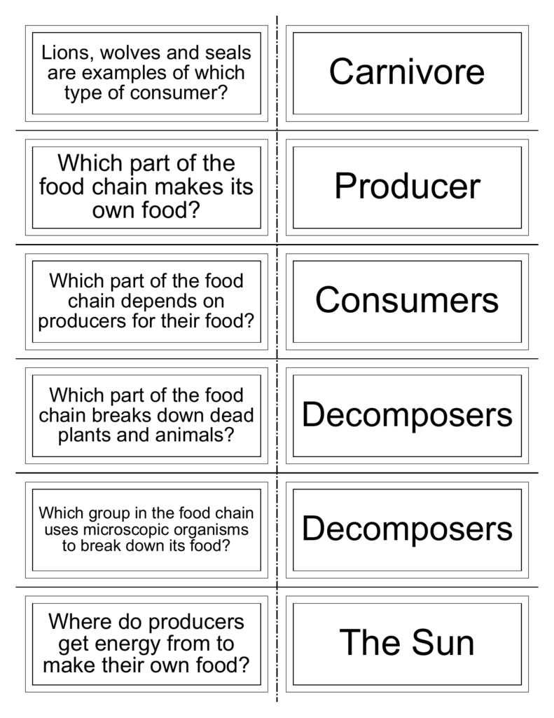 Free Flash Cards - Totally 21rd Grade For Producers And Consumers Worksheet