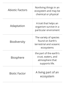 Ecosystems Vocabulary Flashcards