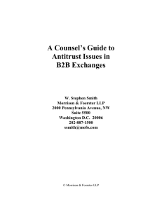 A Counsel's Guide to Antitrust Issues in B2B Exchanges