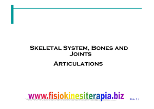 Skeletal System, Bones and Joints Articulations