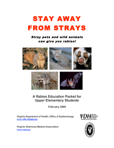 Rabies Awareness Plan - Virginia Department of Health