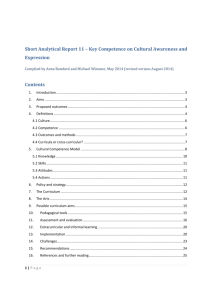 Short Analytical Report 11 – Key Competence on Cultural
