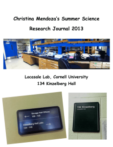 Summer Internship Journal - The Locasale Research Group