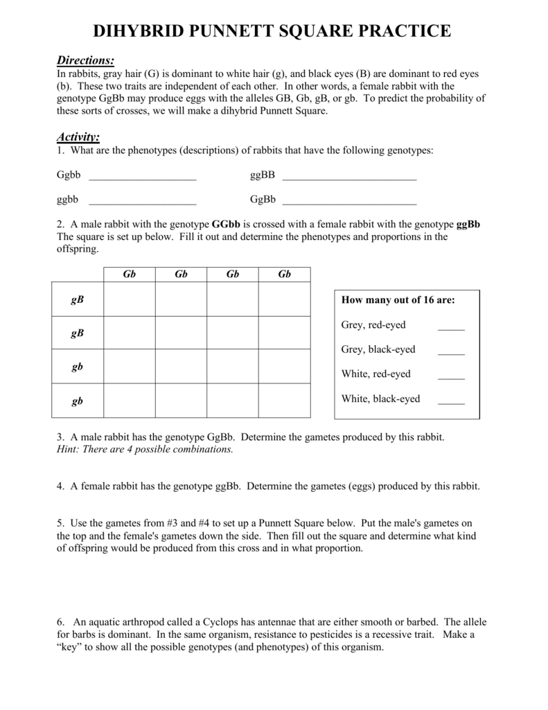 Punnett Square Dihybrid Cross Worksheets