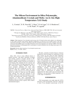 The Silicon Environment in Silica Polymorphs, Aluminosilicate