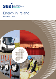 Energy in Ireland Key Statistics 2014