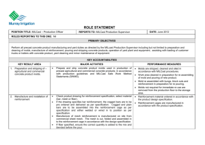 role statement template.doc