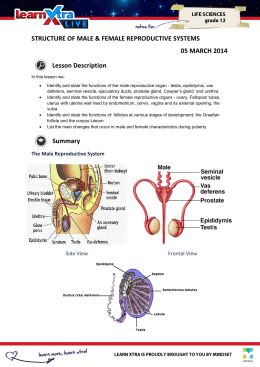 Reproductive System Test