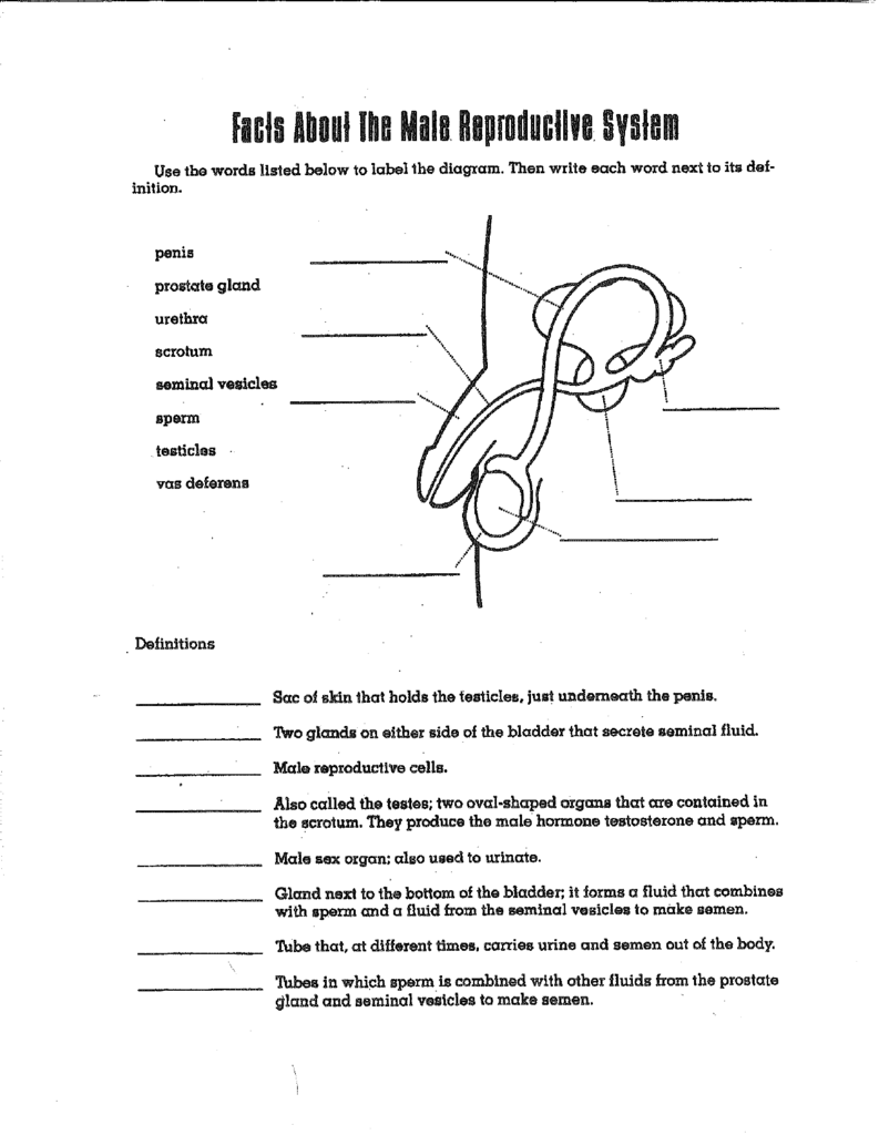 Use The Words Listed Below To Label The Diagram  Then