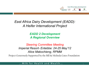East Africa Dairy Development (EADD): A Heifer International Project
