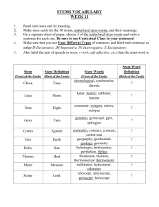 STEMS VOCABULARY WEEK 11