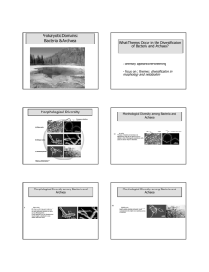 Prokaryotic Domains: Bacteria & Archaea Morphological