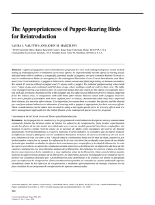 The Appropriateness of Puppet-Rearing Birds for Reintroduction