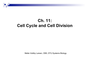 Ch. 11: Cell Cycle and Cell Division