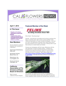 CAL FLOWERS newslette