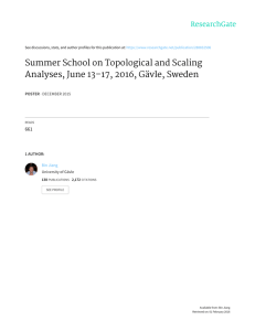 Summer School on Topological and Scaling Analyses
