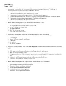 S449 AP Biology Chapter 6 Quiz 1. A researcher wants to film the
