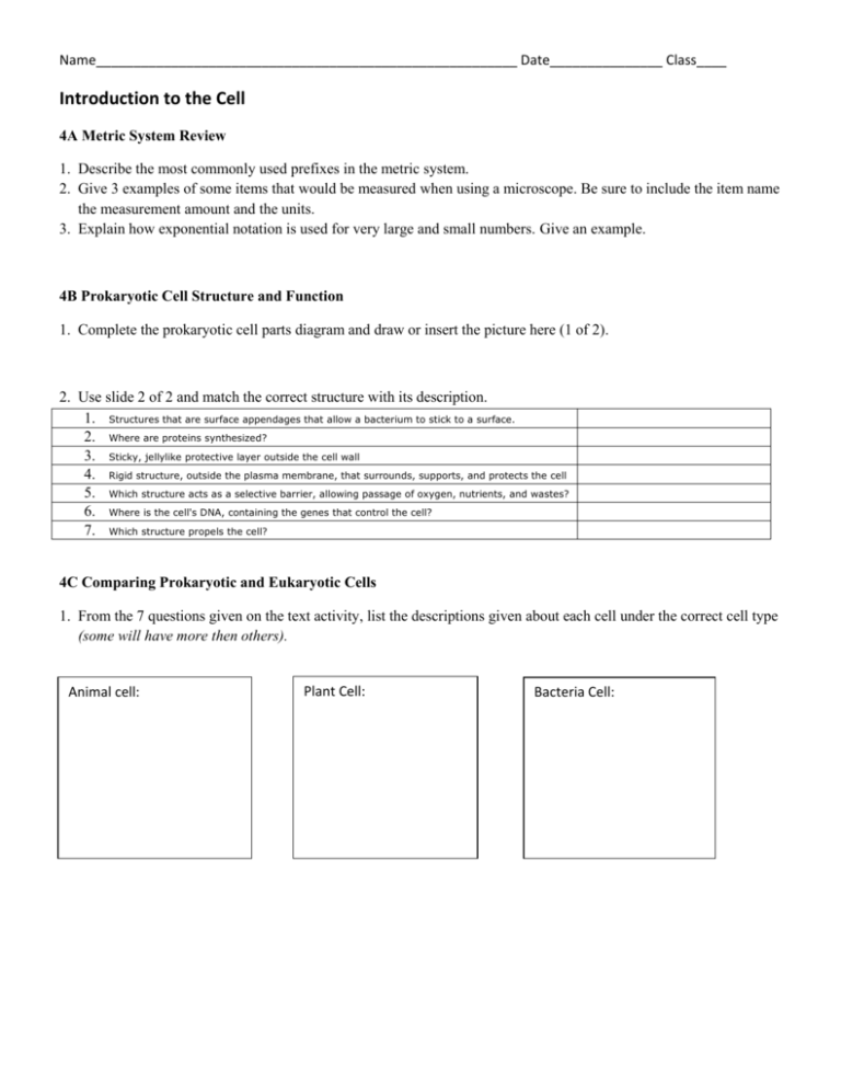 Introduction To The Cell