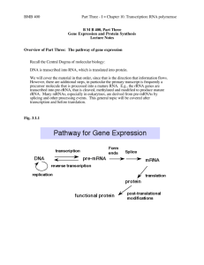 BMB 400 Part Three - I = Chapter 10. Transcription: RNA