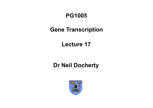 PG1005 Lecture 17 Gene Transcription